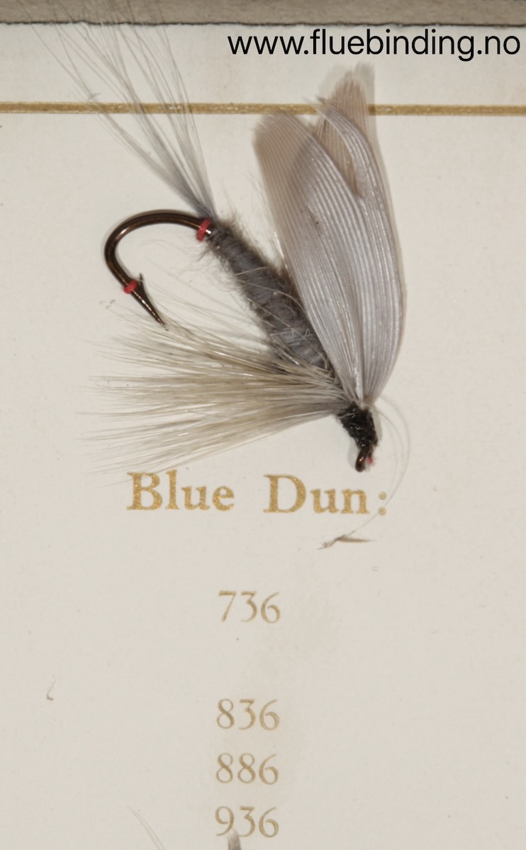 Blue Dun