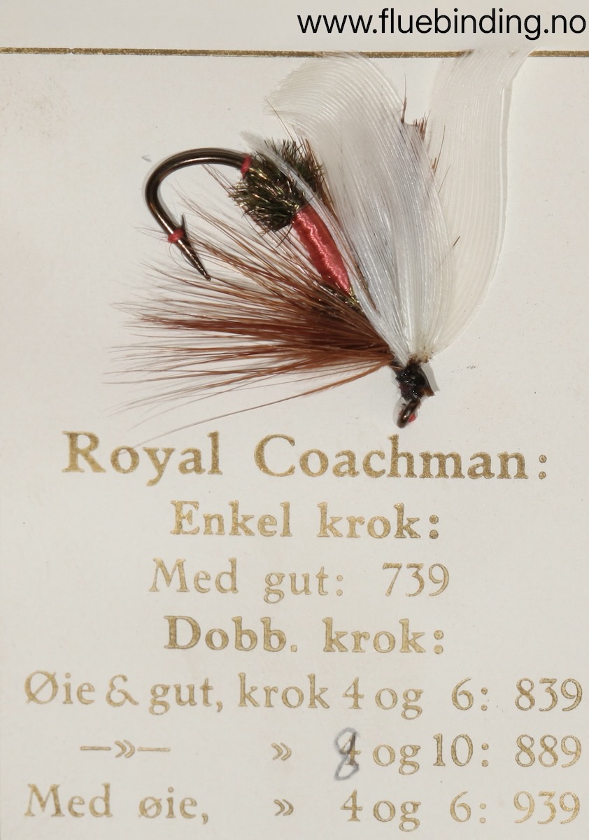 Royal Coachman