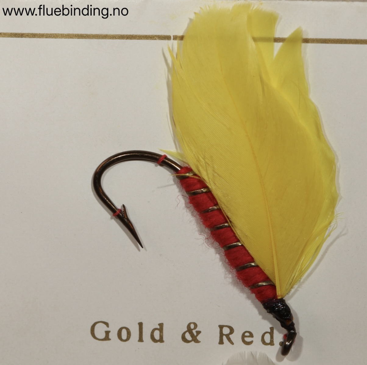 Gold & Red