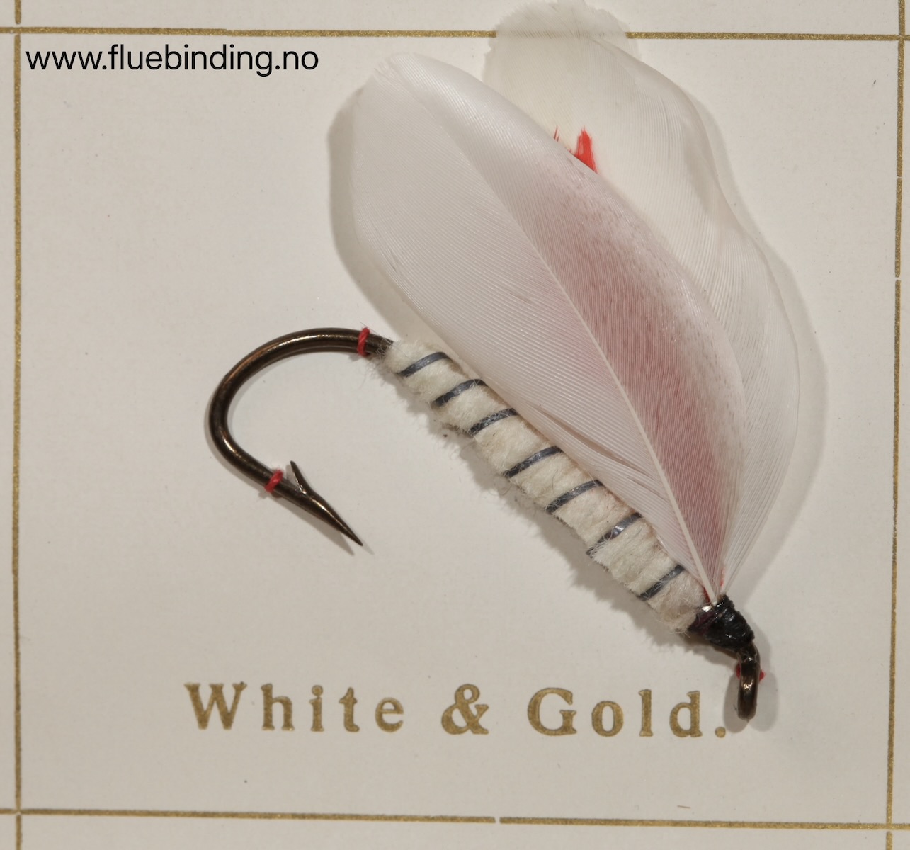 White & Gold
