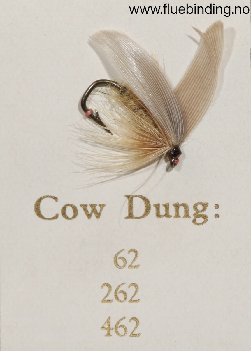 Cow Dung