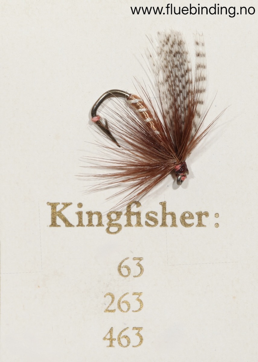 Kingfisher