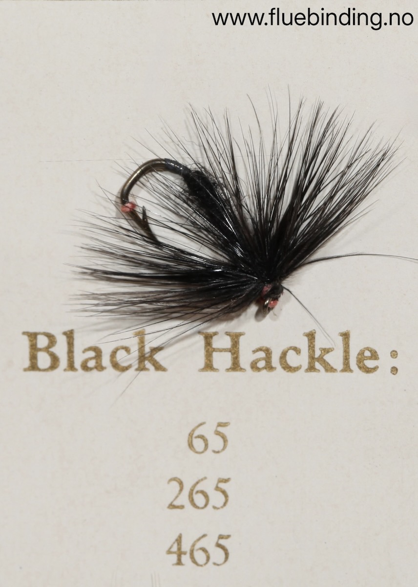 Black Hackle