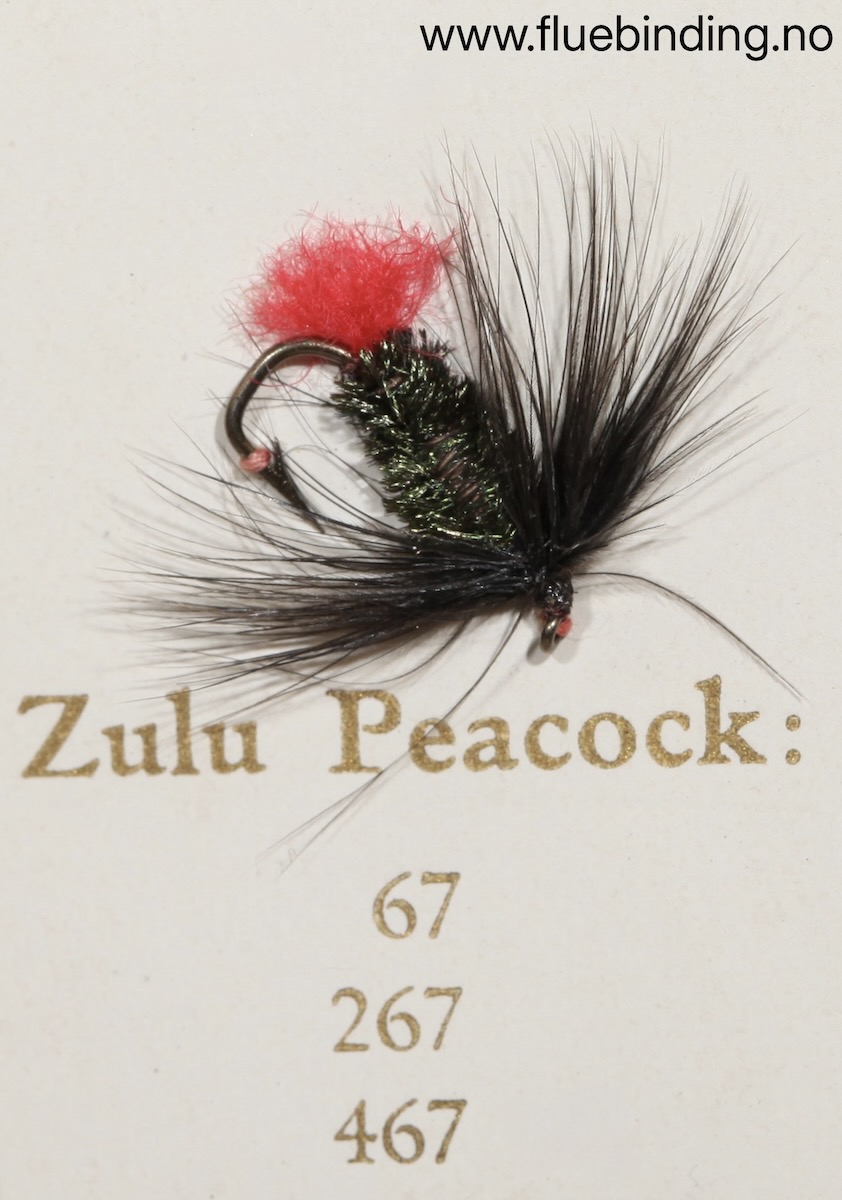 Zulu Peacock
