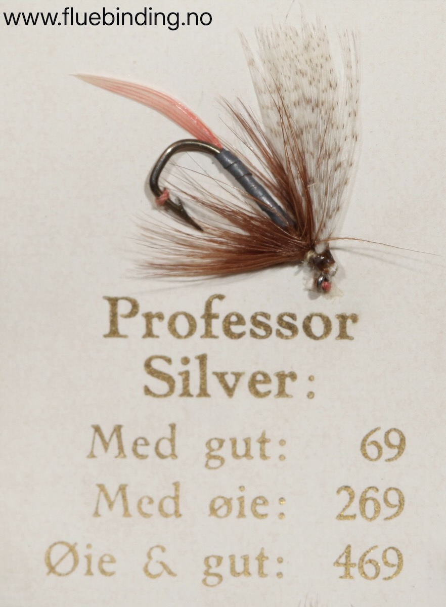Professor Silver