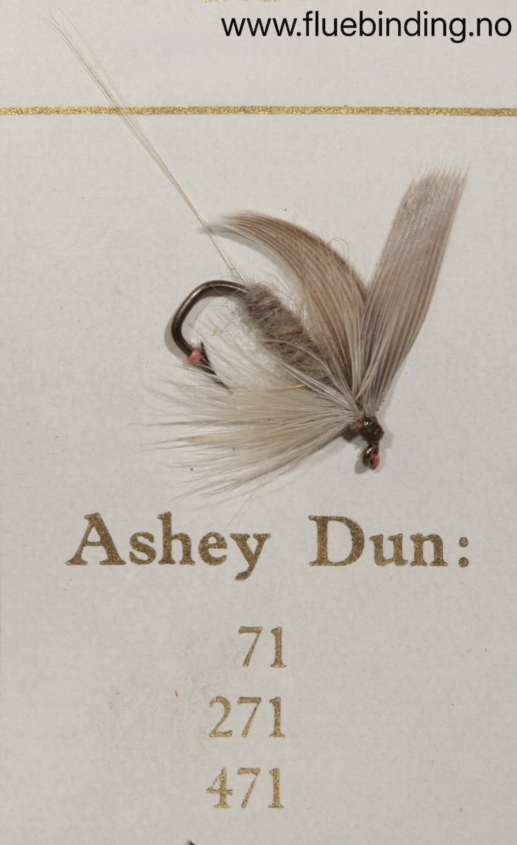 Ashey Dun