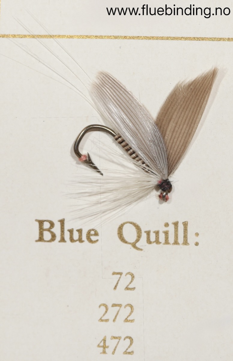 Blue Quill
