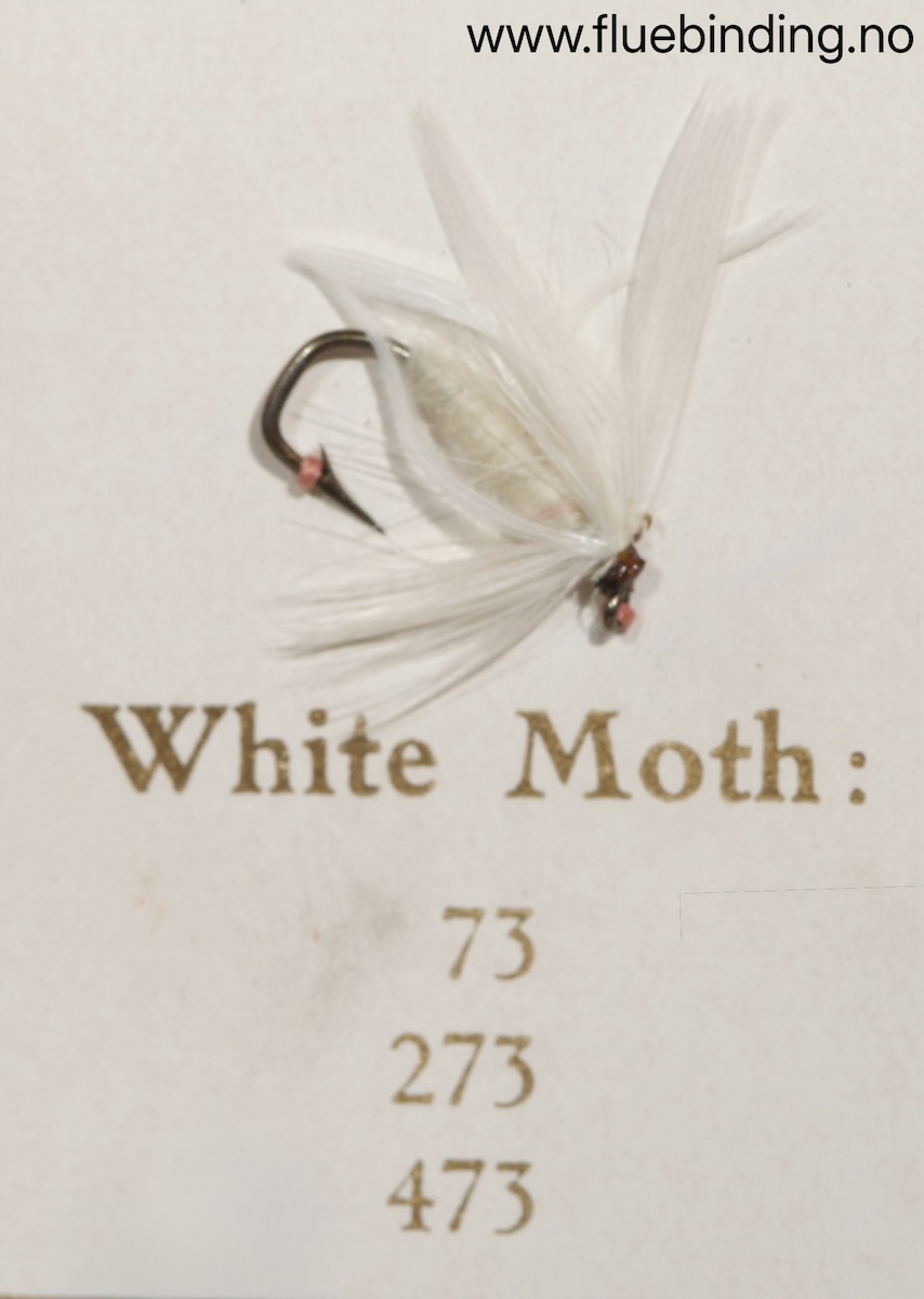 White Moth