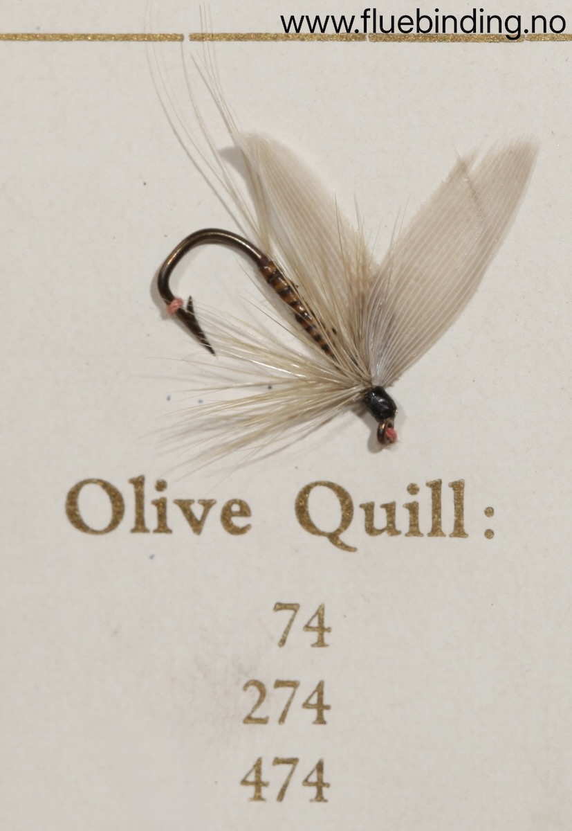 Olive Quill