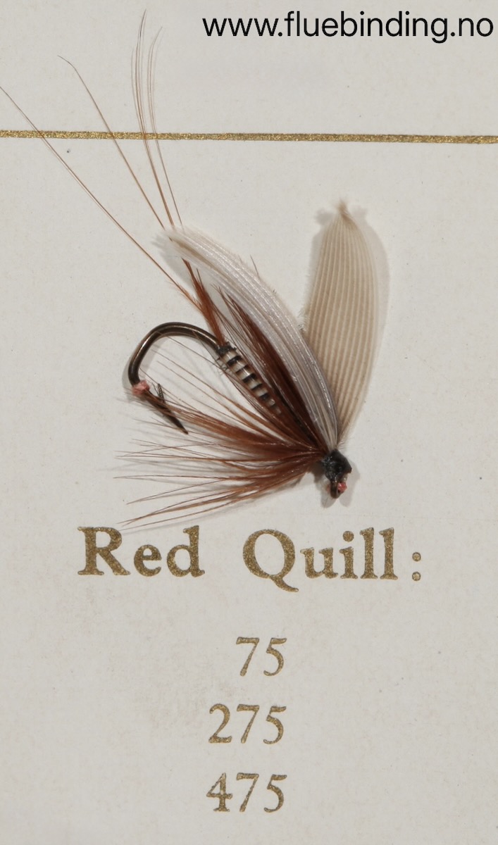 Red Quill