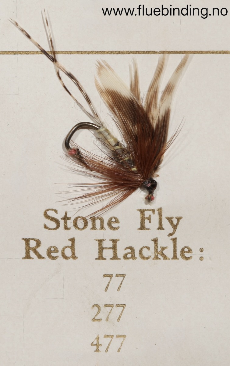 Stone Fly Red Hackle