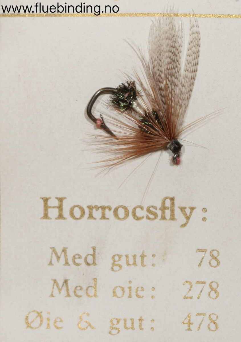Horrocsfly