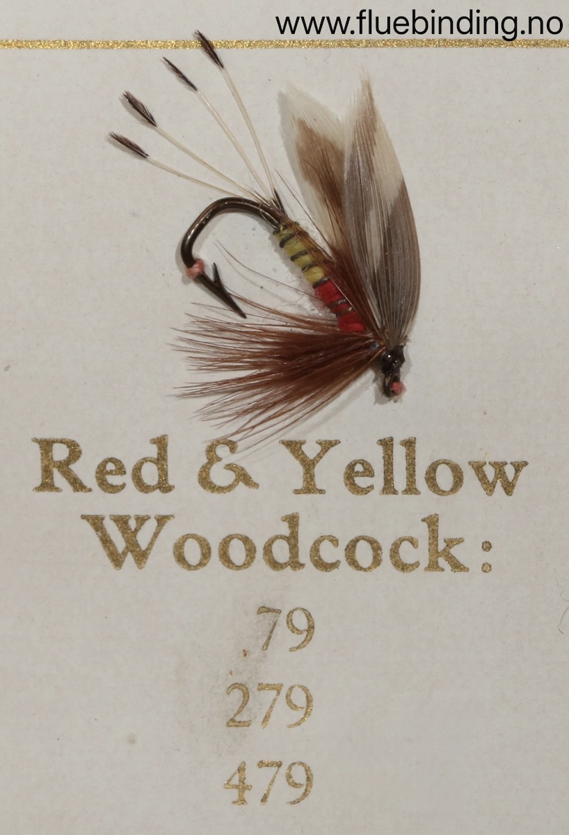 Red Yellow Woodcock