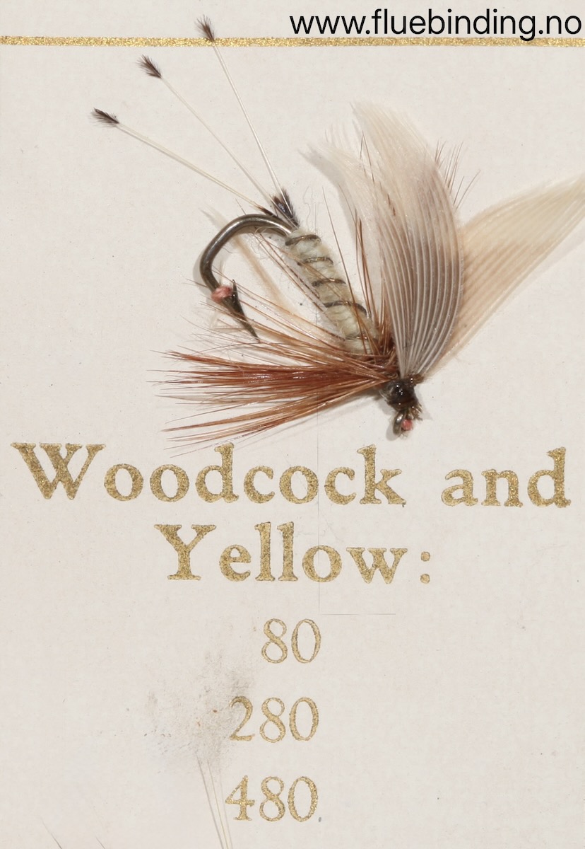Woodcock and Yellow