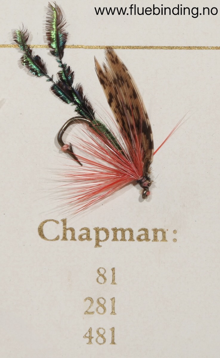 Chapman
