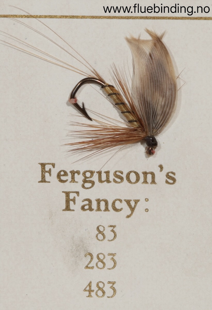 Ferguson's Fancy