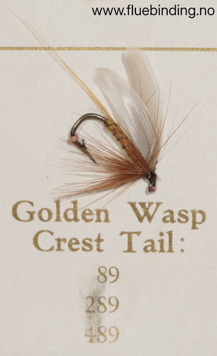 Golden Wasp Crest Tail