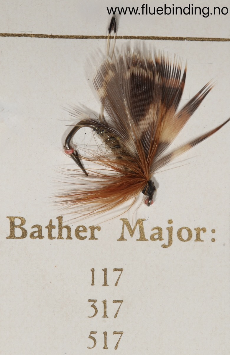 Bather Major