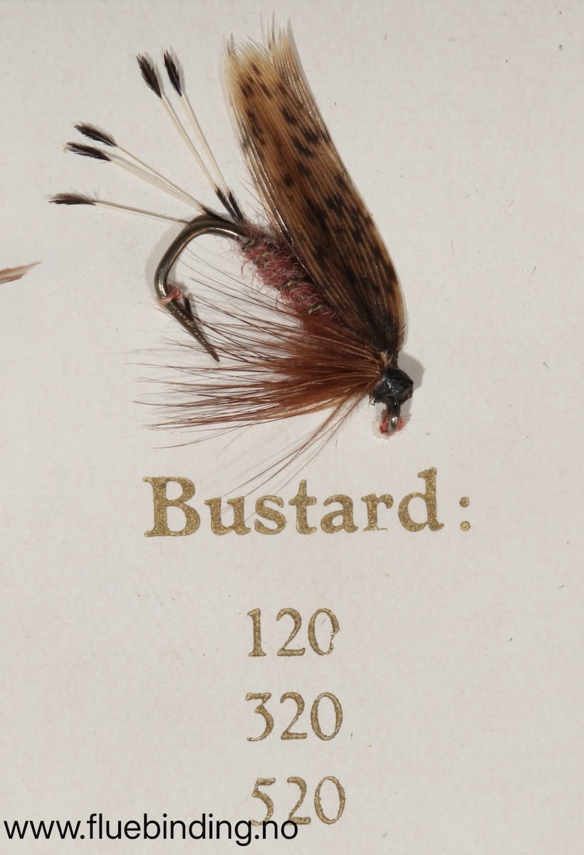 Bustad