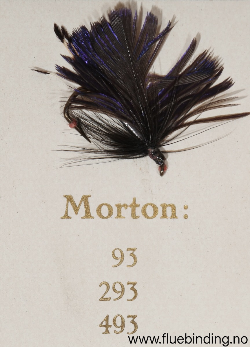 Morton