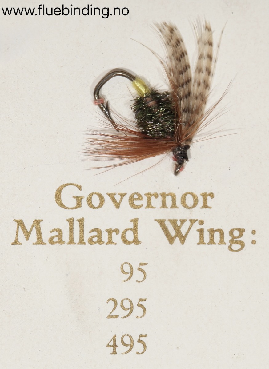 Governor Mallard Wing
