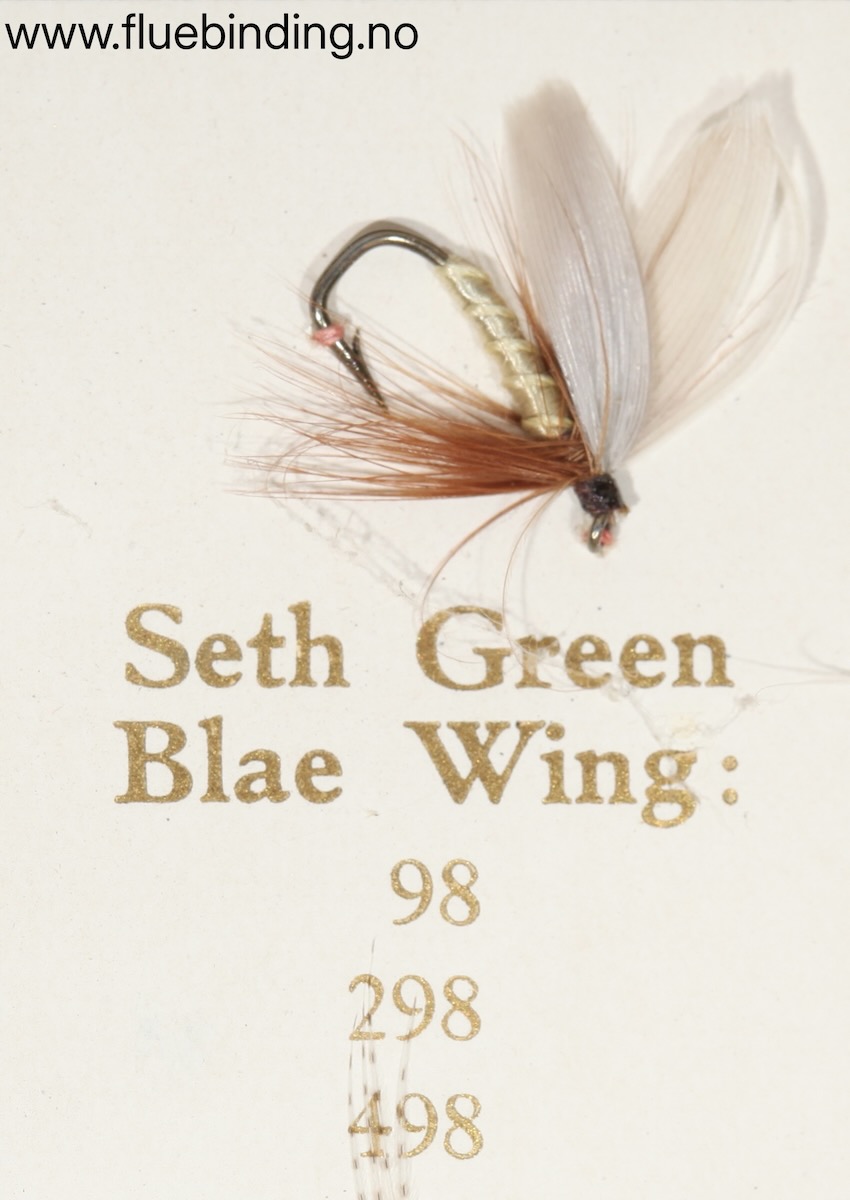 Seth Green Blae Wing