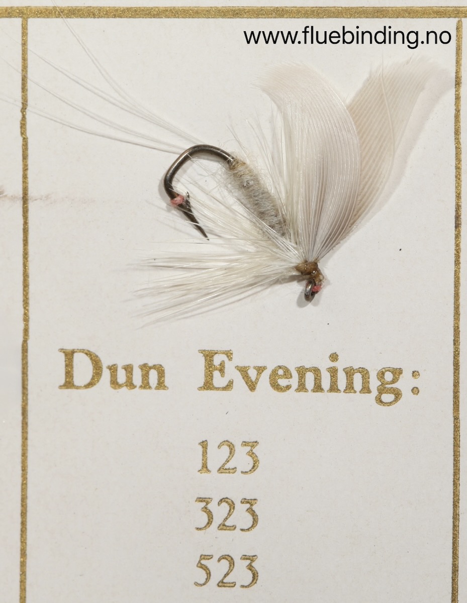 Dun Evening