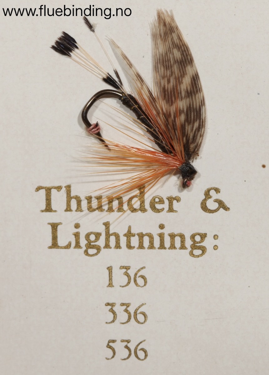 Thunder & Lightning