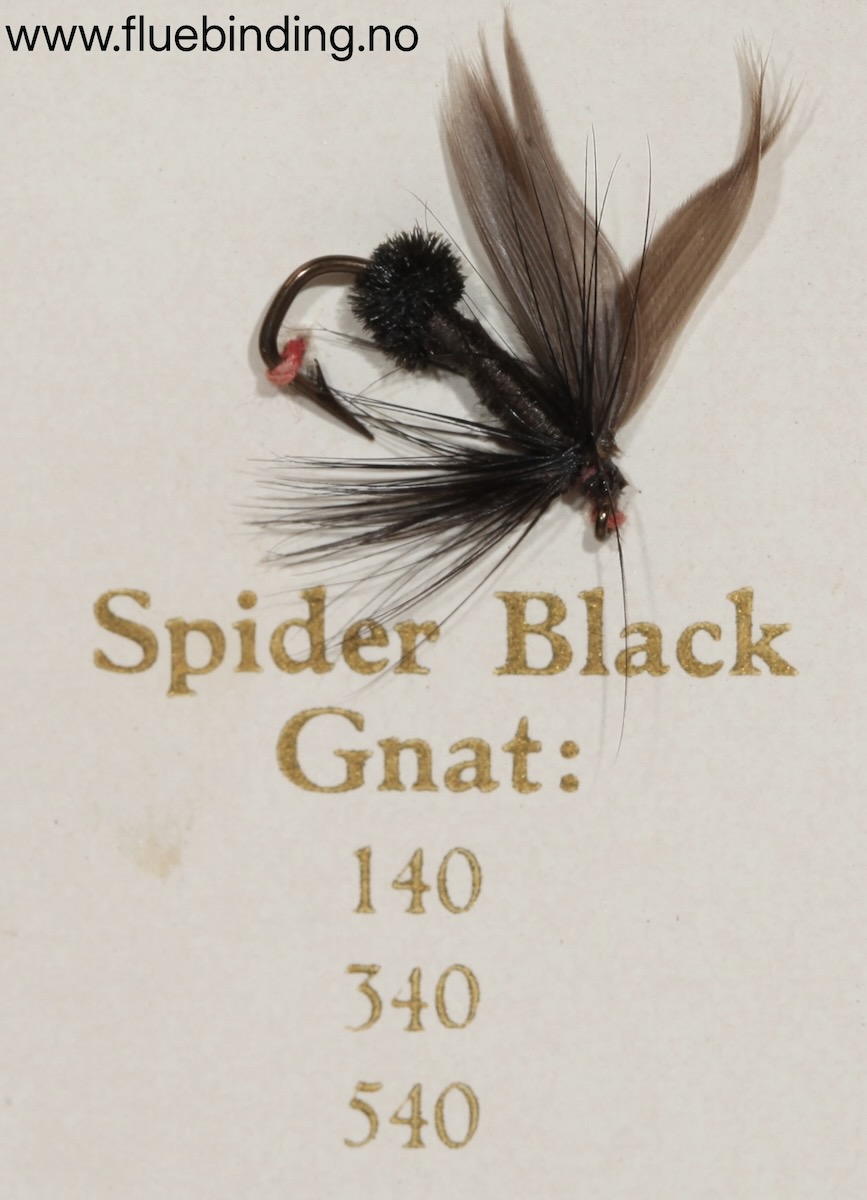 Spider Black Gnat