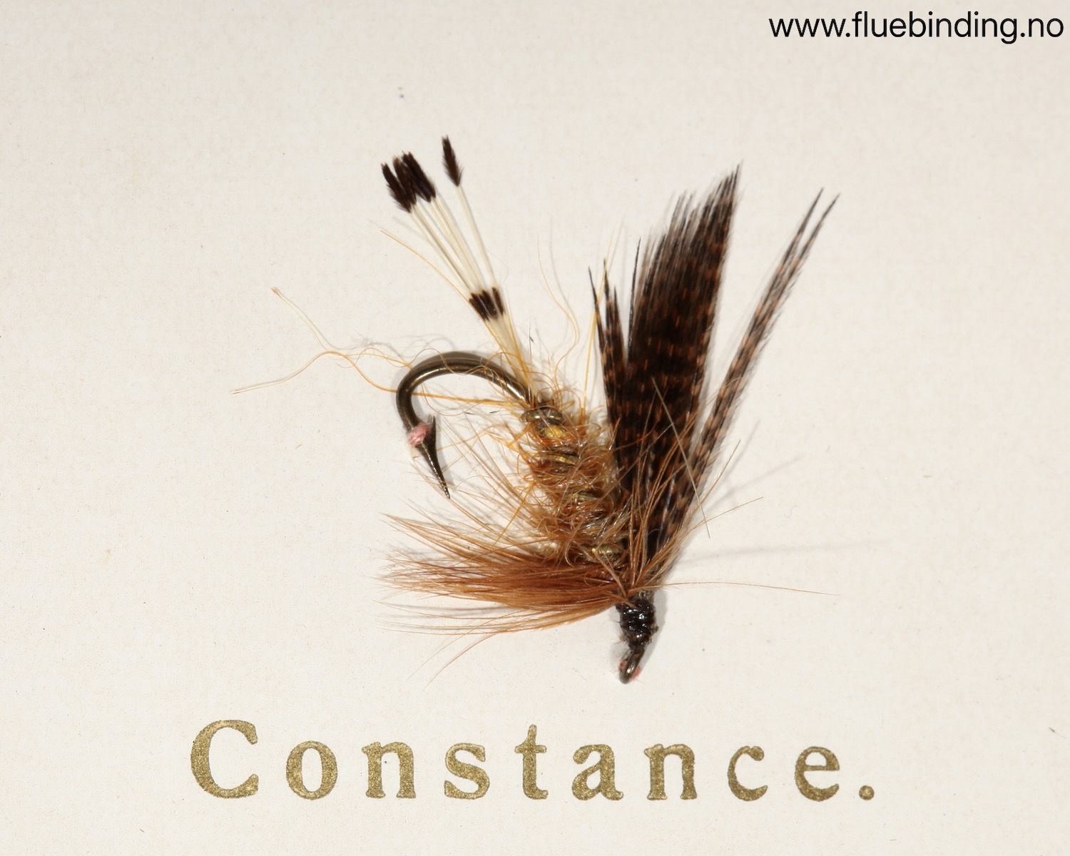 Constance