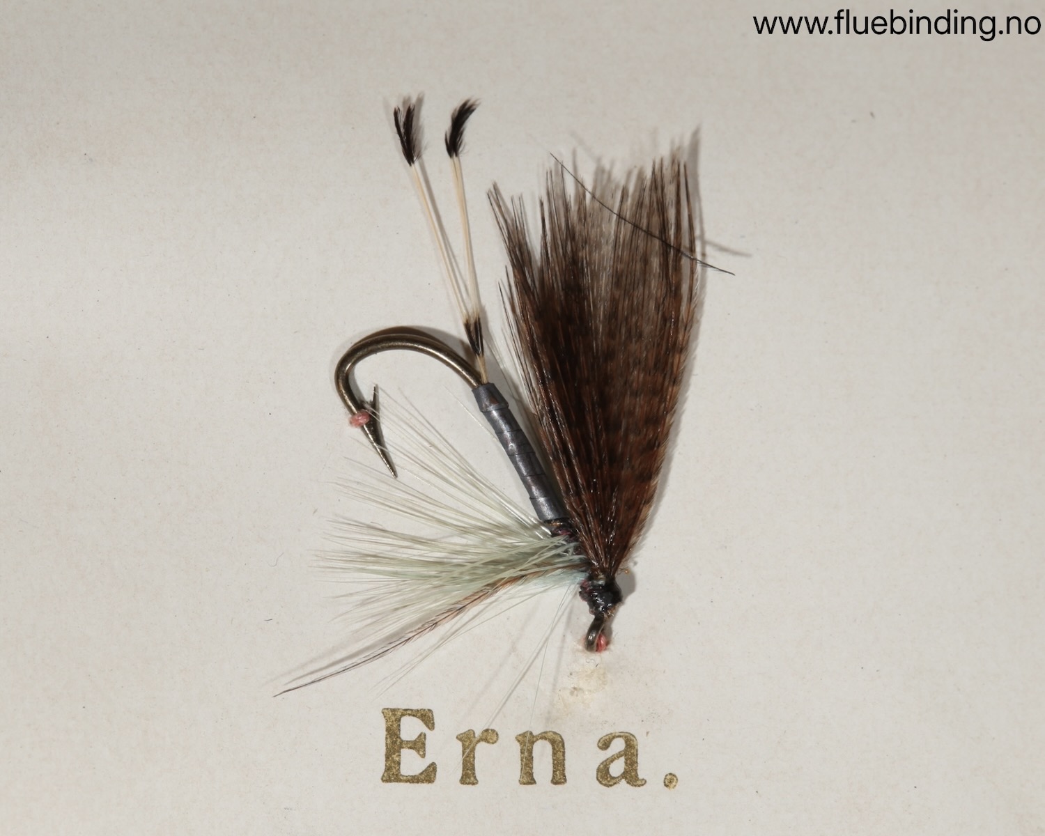 Erna