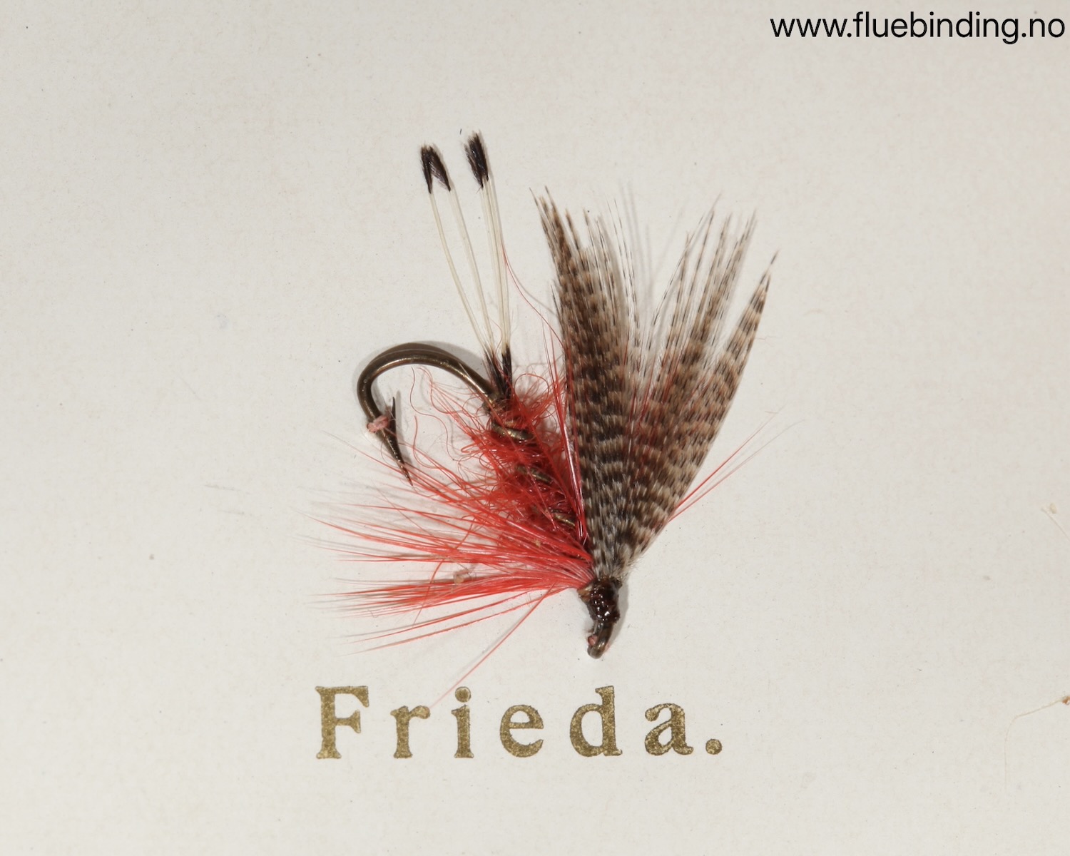 Frieda