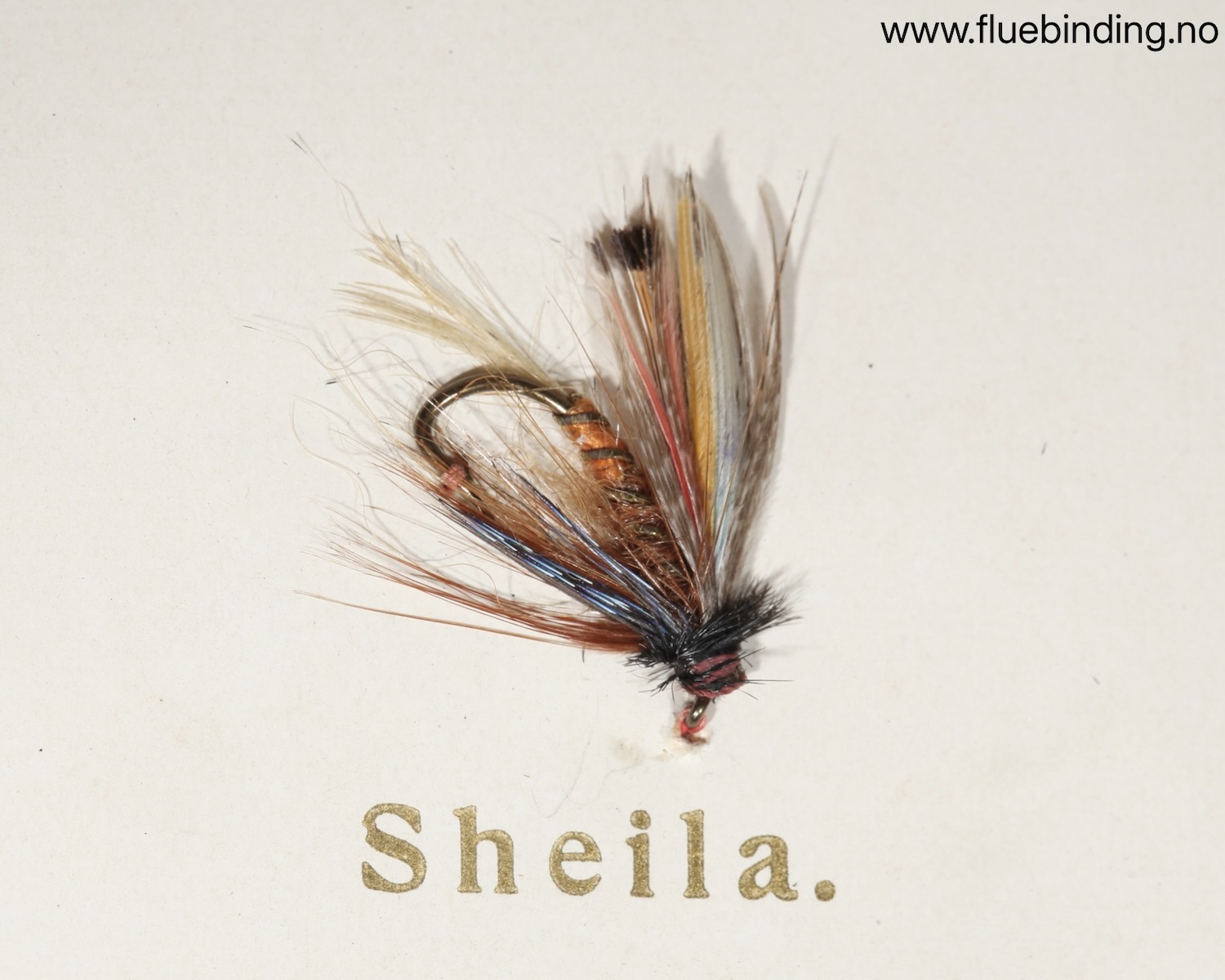 Sheila