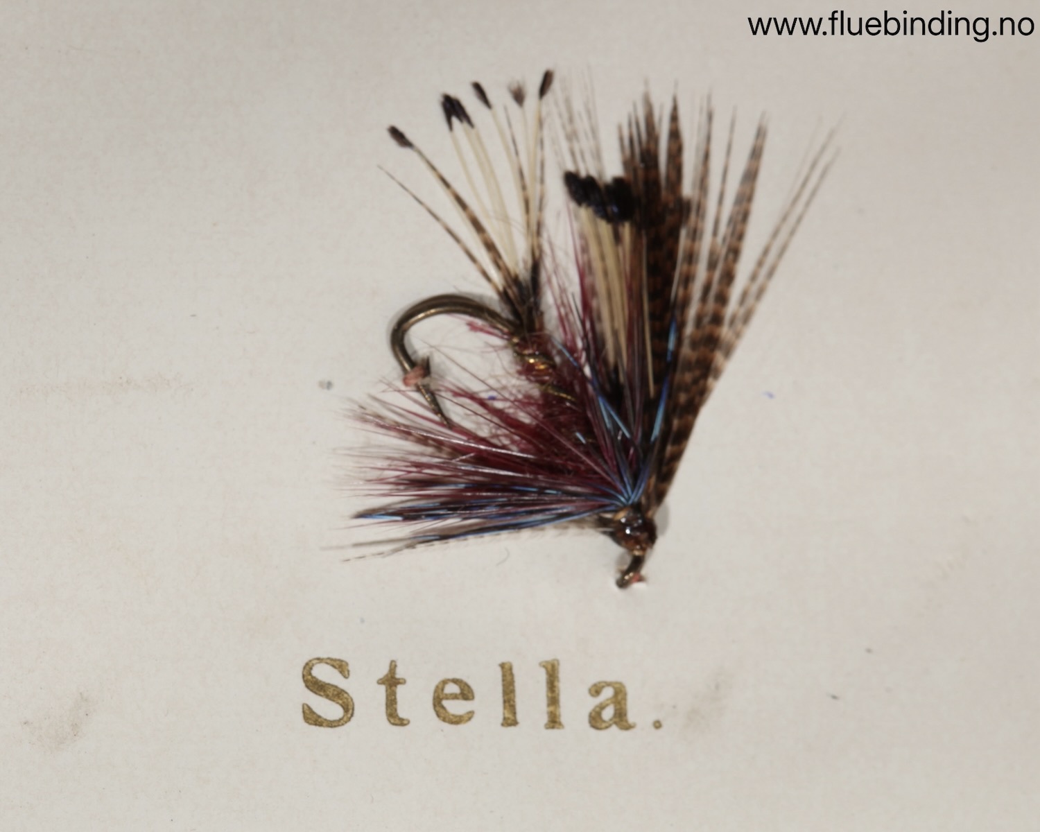 Stella