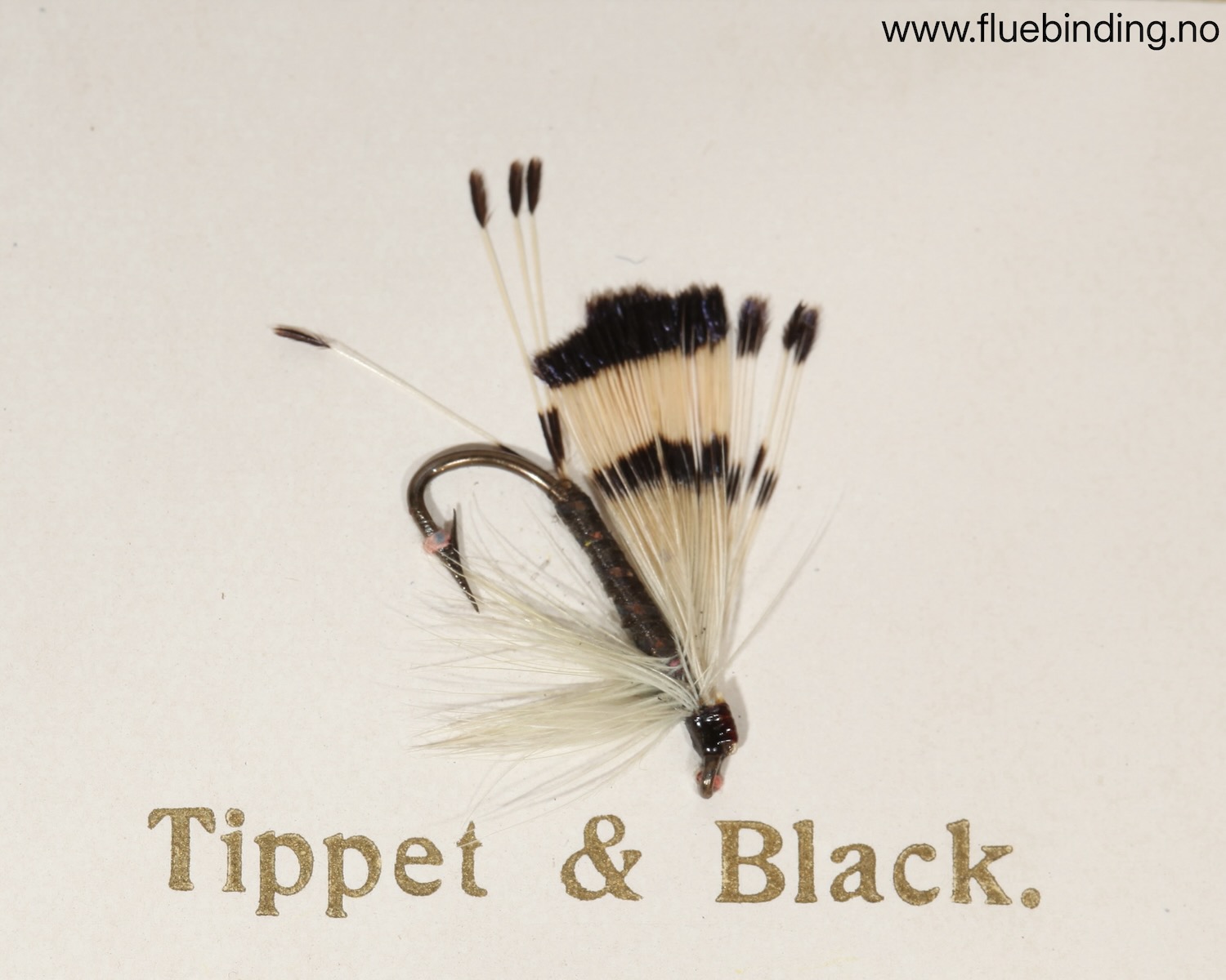 Tippet & Black