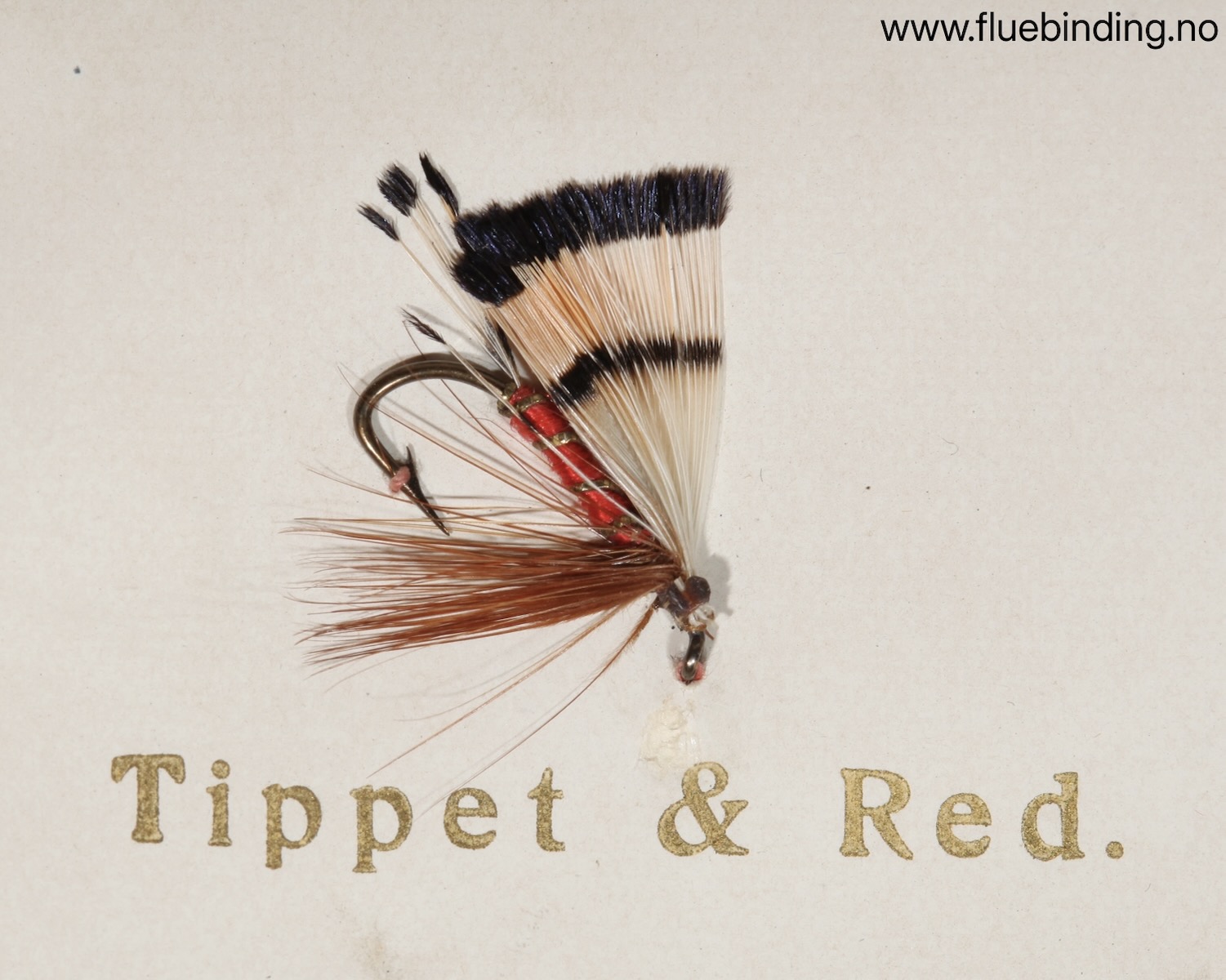 Tippet & Red