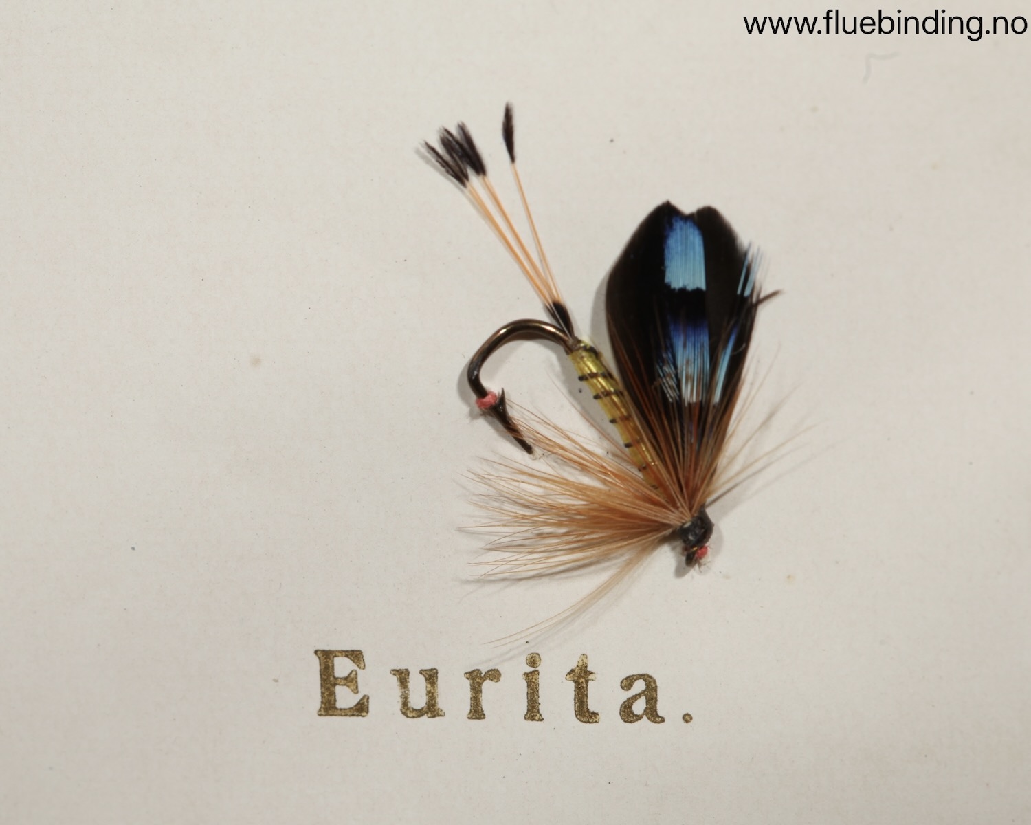 Eurita