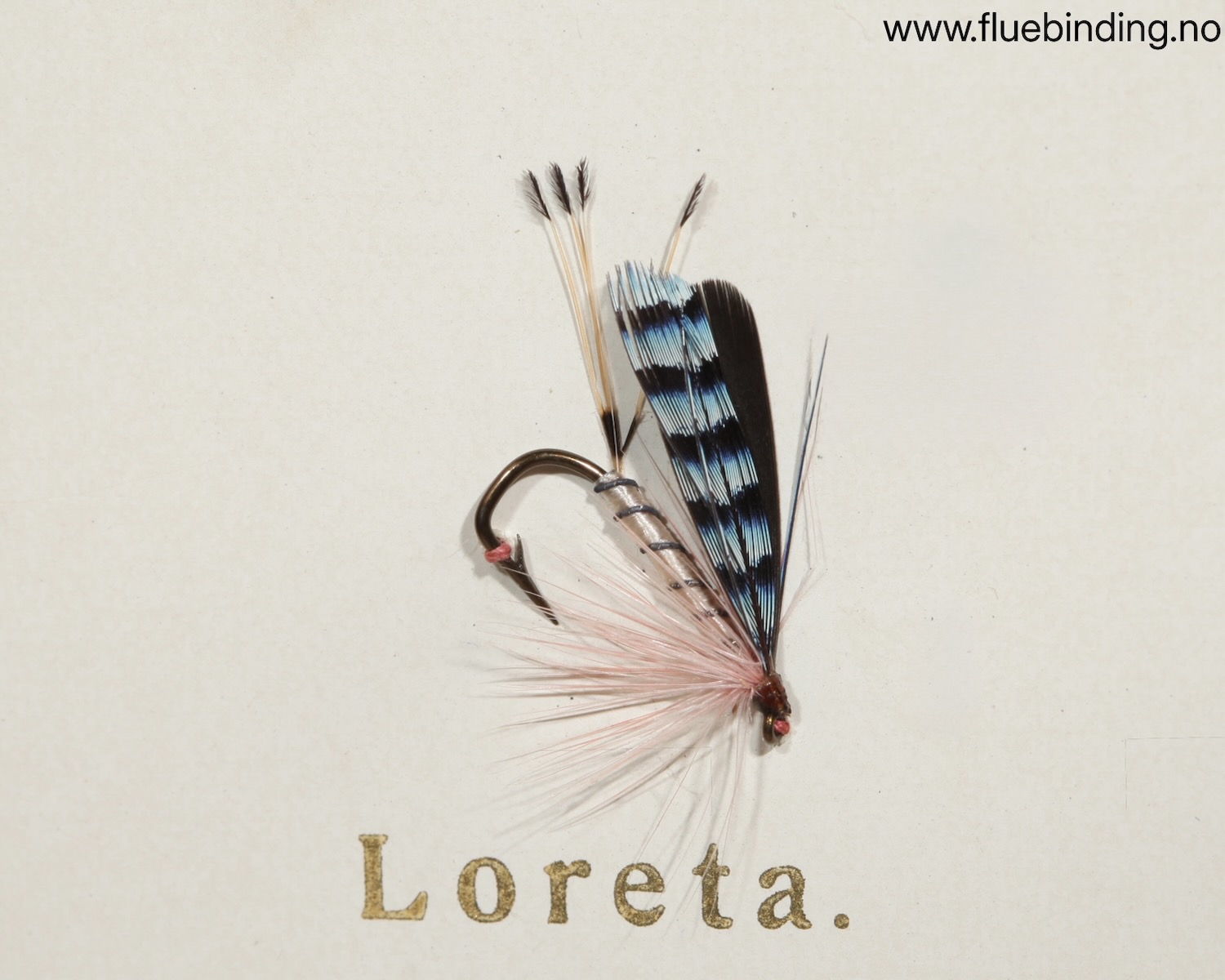 Loreta
