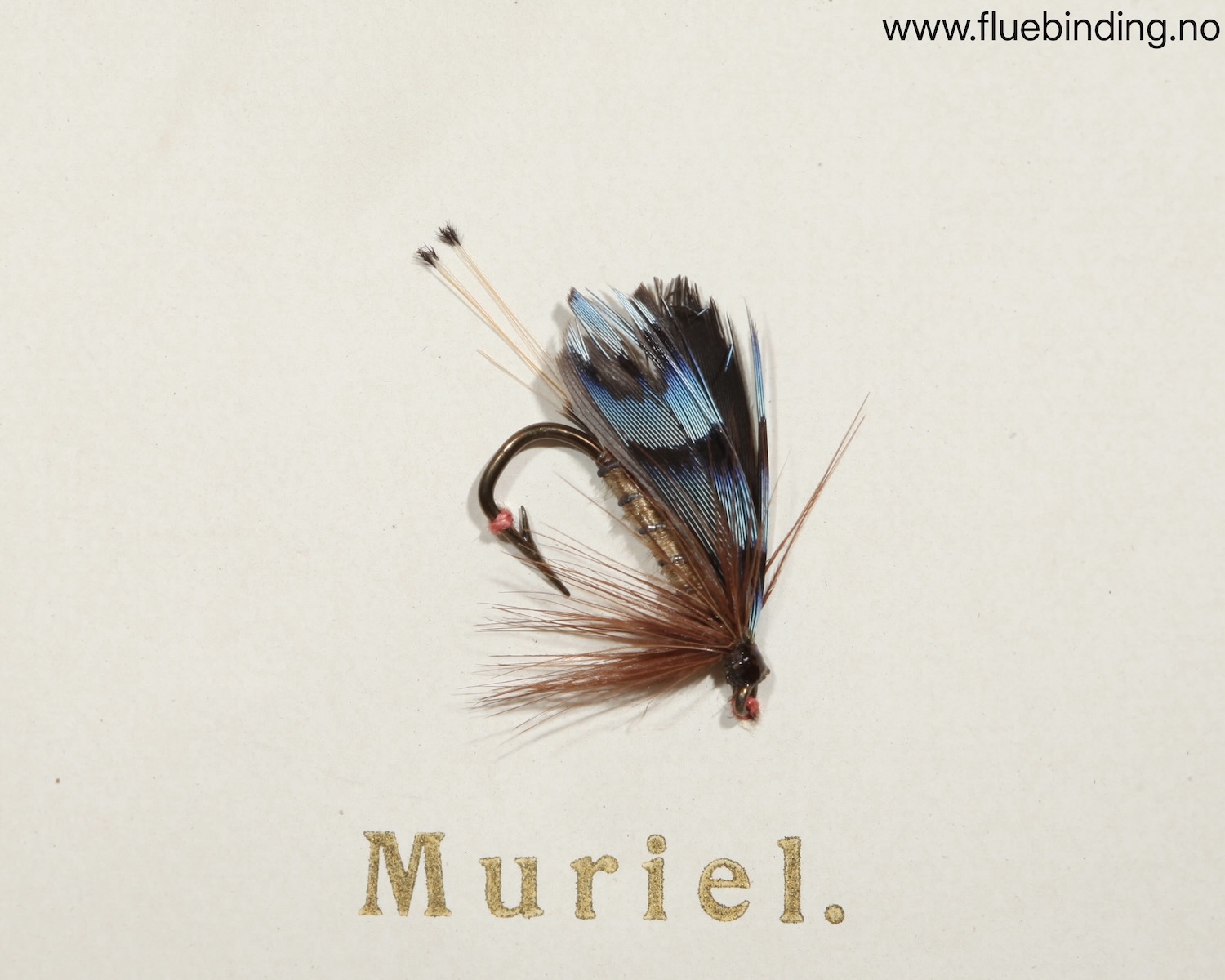 Muriel
