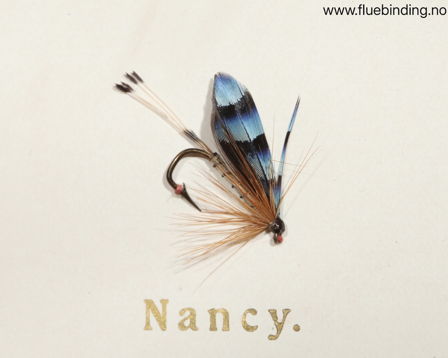 Nancy