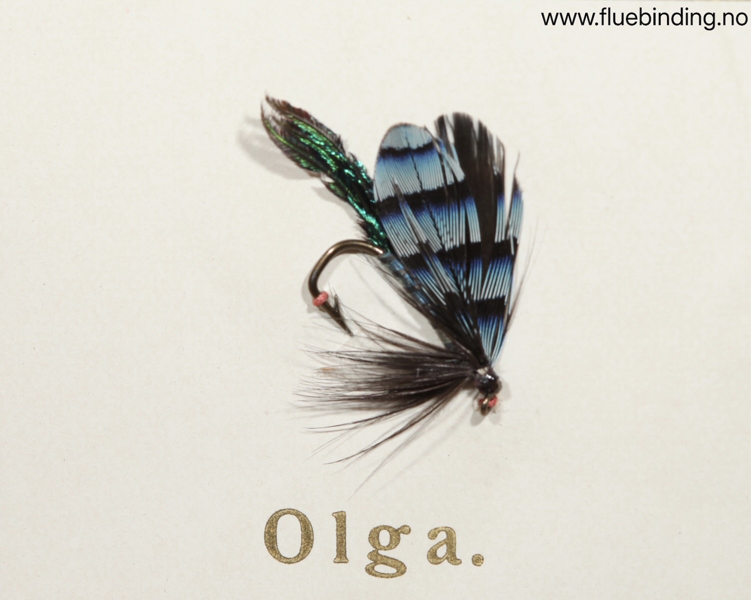 Olga