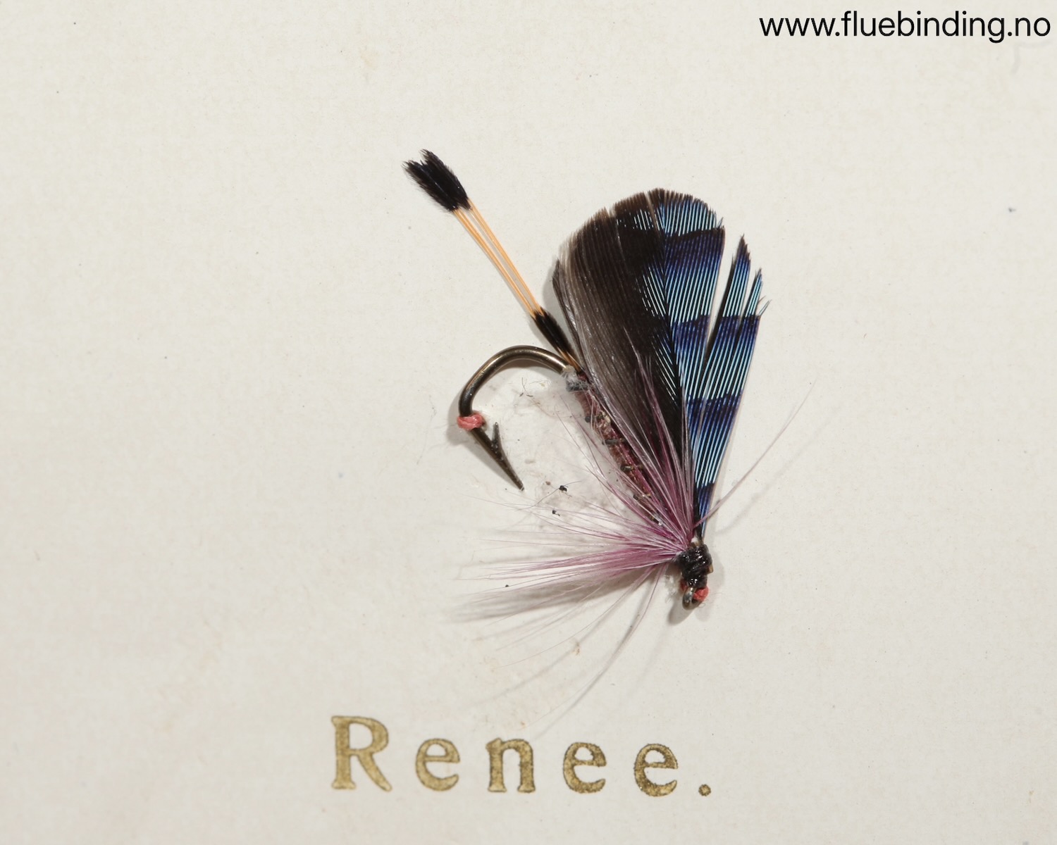 Renee