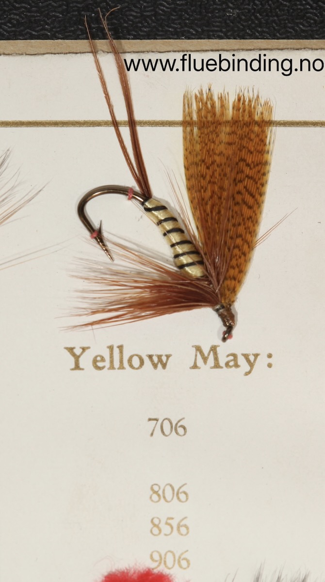Yellow May