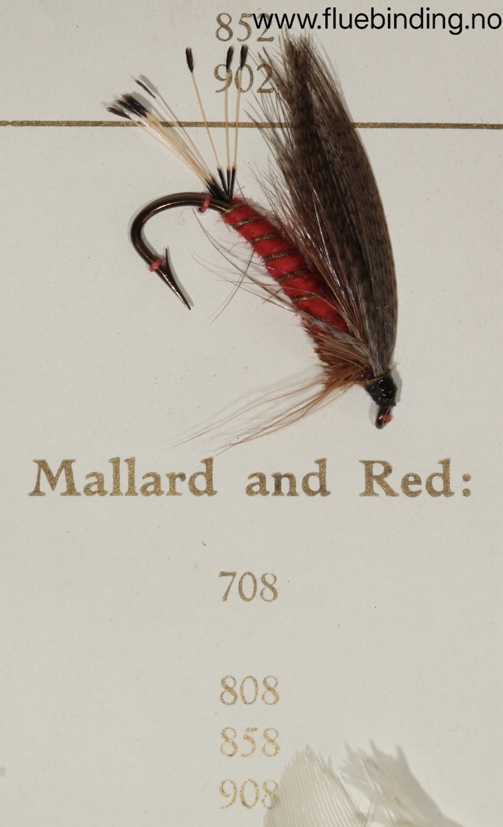Mallard and Red