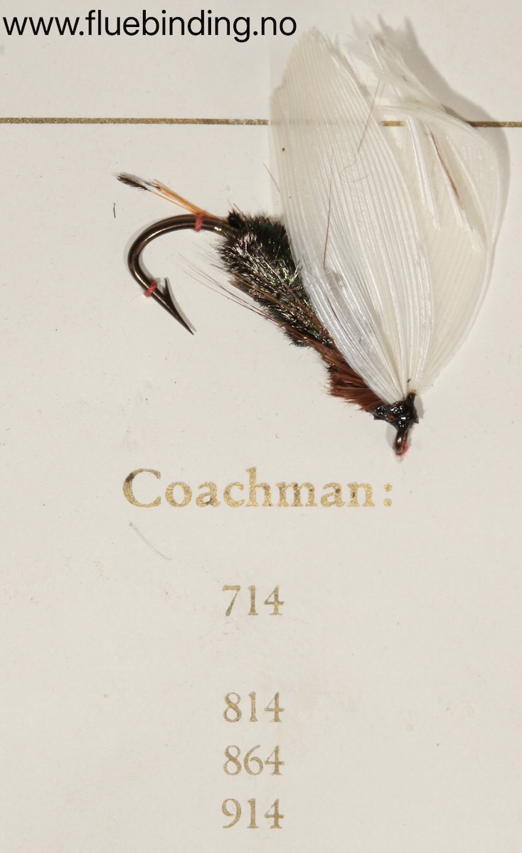 Coachman