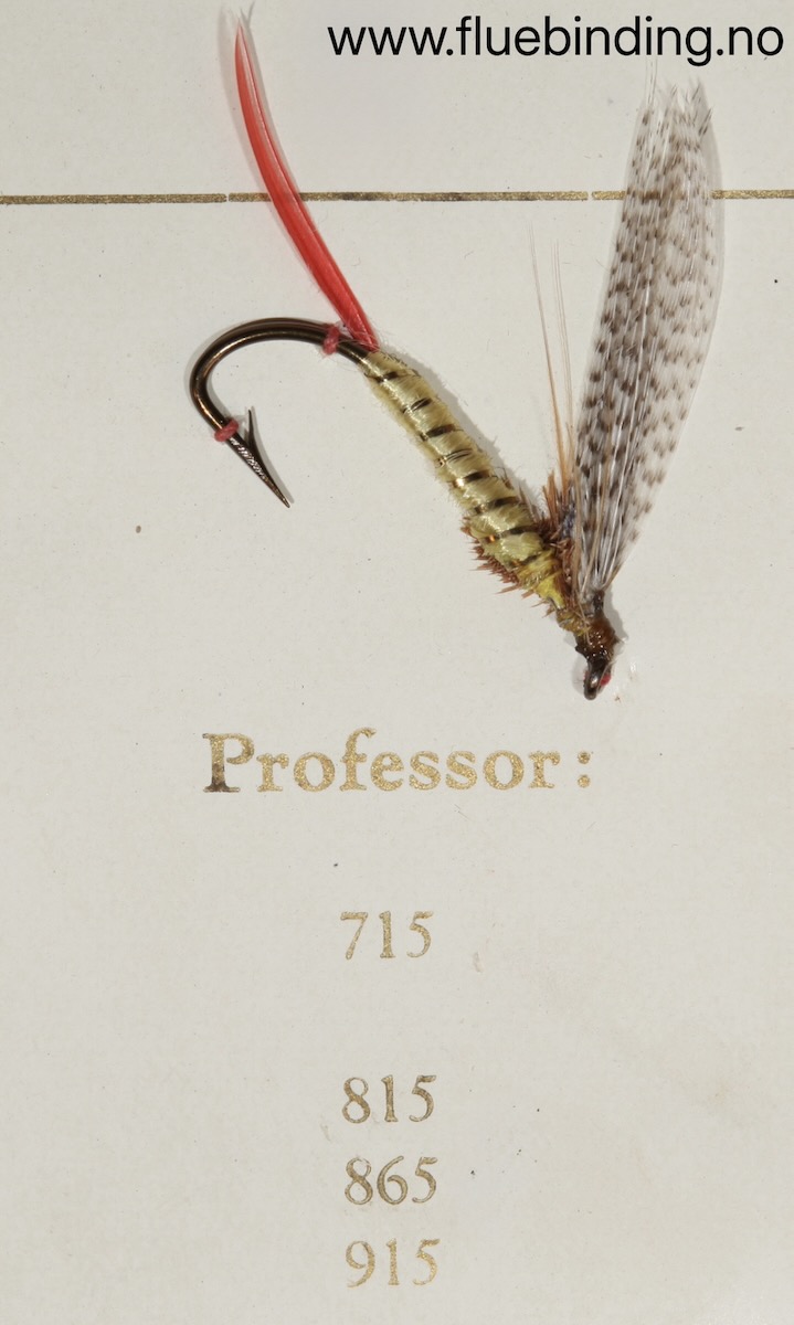 Professor