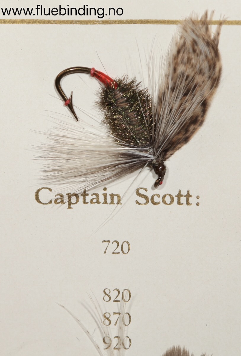 Captain Scott