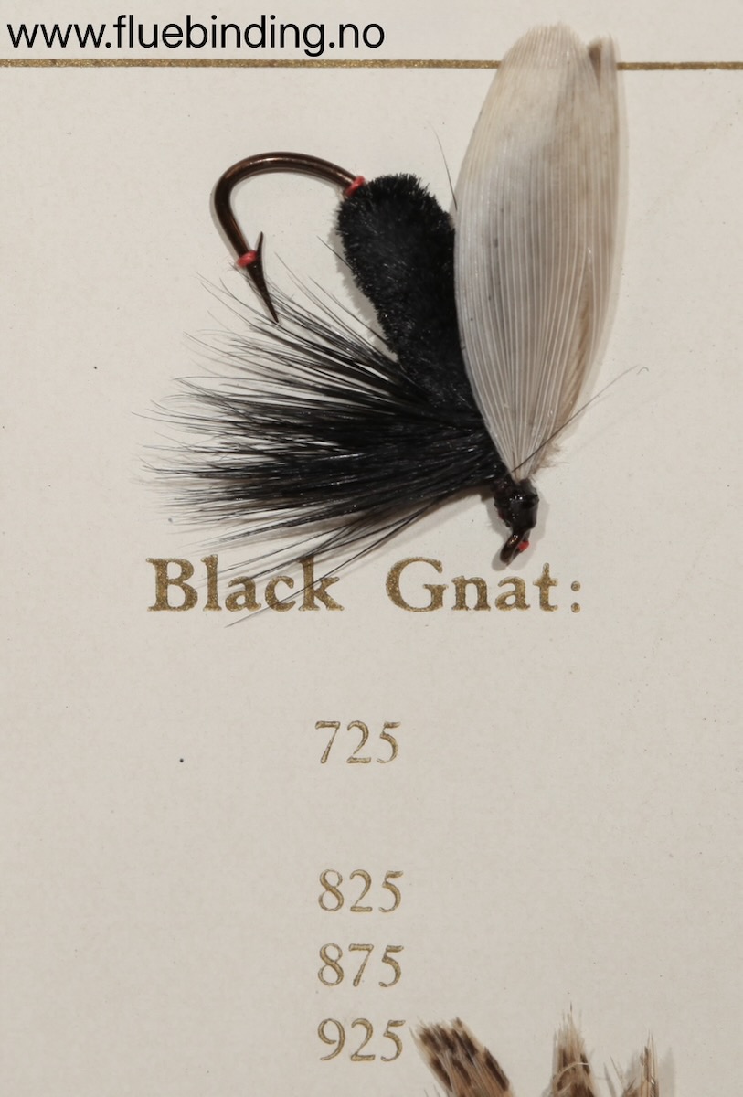 Black Gnat