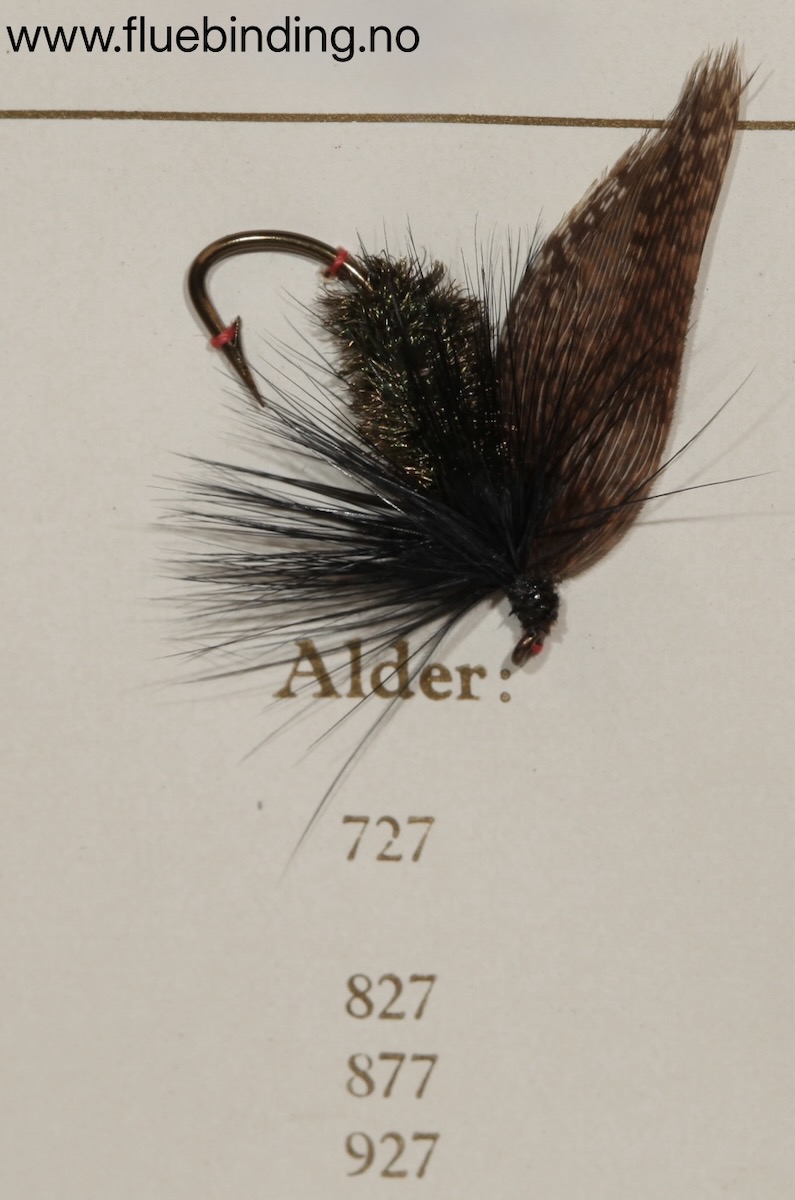Alder