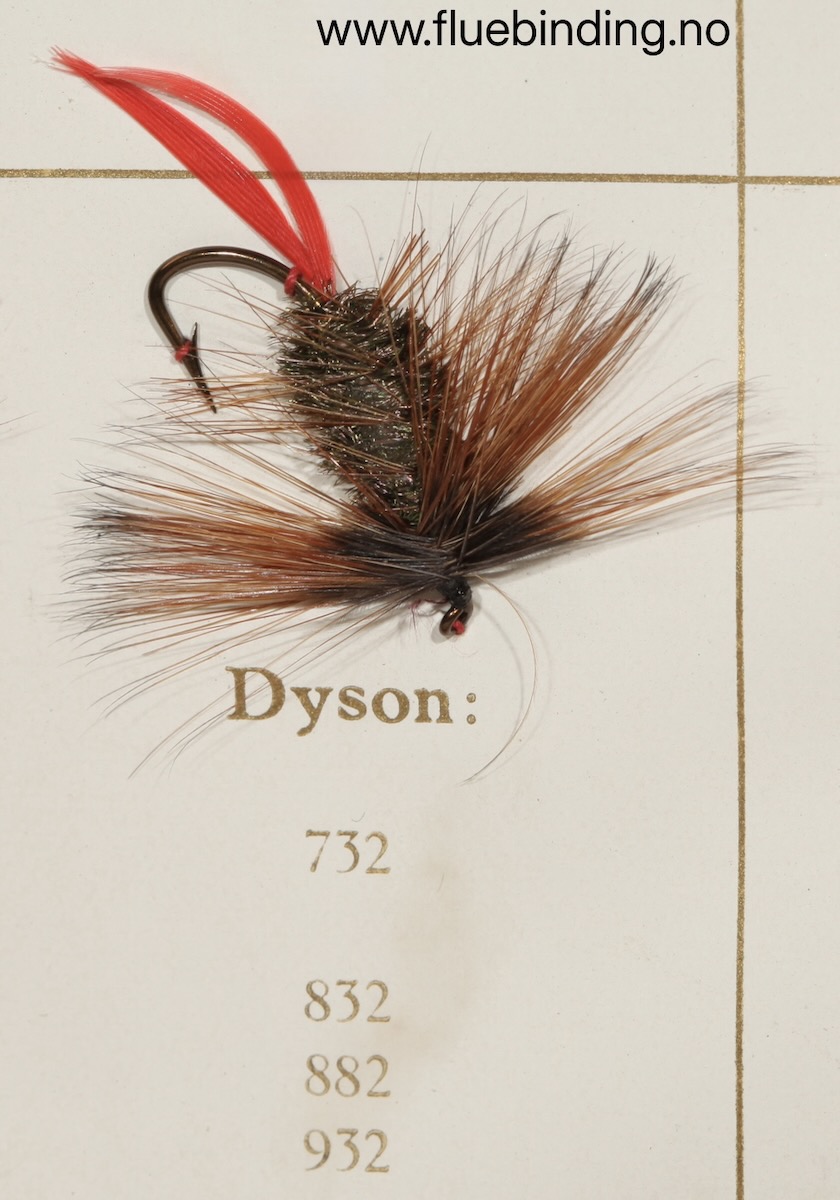 Dyson